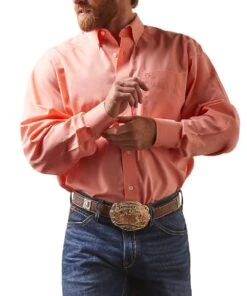 Ariat Men's Wrinkle Free Oxford Button Down Shirt